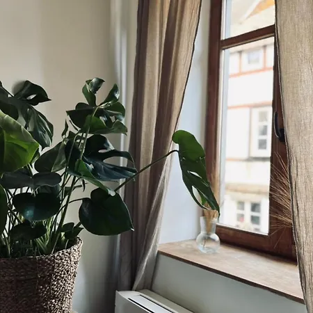 Duplex Vieille Centre * דורבורי