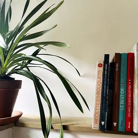 Apartament Duplex Vieille Centre