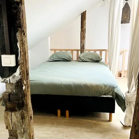 Apartament Duplex Vieille Centre